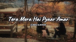 Tera Mera Hai Pyar Amar From quotIshq Murshidquot  Slowed and Reverb [upl. by Kentigera]