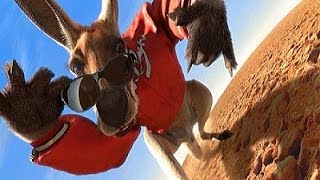 Kangaroo Jack II Teaser Trailer 1 [upl. by Kaule]