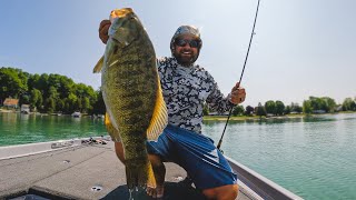 Finesse Tricks For Skittish Bass  Early Fall [upl. by Keviv]