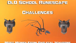 OSRS Challenges Most Money From Wyverns  Runescape 2007 [upl. by Ennaear]