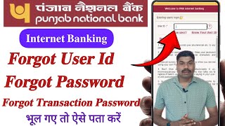 pnb user id kaise pata kare  Forgot password pnb net banking  Forget pnb transaction password [upl. by Rendrag551]