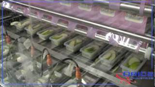 ORICS PB1000 8Up MAP apples and dip tray sealing machine [upl. by Trebo54]