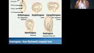 Botany BSc Flower System PistilOvules amp Megasporogenesis by Dr Ajay Kumar Bharadwaj on 260315 [upl. by Enneira]