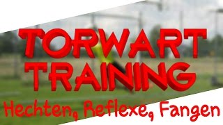 WERDE EIN BESSERER TORWART Torwart Training HECHTEN REFLEXE UND FANGEN  4GKs [upl. by Oicam]