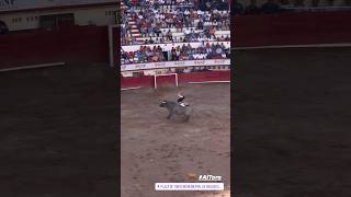 Salto toro bravo plaza toros Aguascalientes mexico shorts [upl. by Pros]