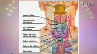 Tiroide sintomi diagnosi e cura [upl. by Arikaahs]