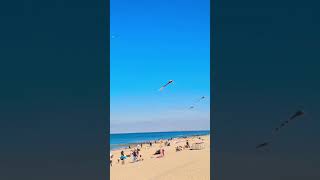 Portraits of Domburgs Beach Zeeland Netherlands Please subscribe amp see my long video thanks😃 [upl. by Etteneg]