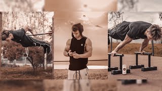 Andrea Larosa BEST Street Workout and Calisthenics Moments 2018 [upl. by Ahsikram]