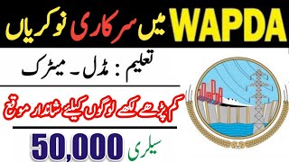 Wapda jobs 2024  Middle Pass Jobs in Pakistan 2024  Current Job Vacancy 2024  Jobs in Wapda [upl. by Jennette82]