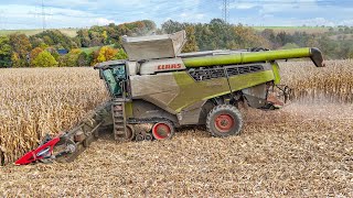 Claas Lexion 8900 mit Geringhoff Horizon Star II bei der Maisernte 2024  Corn Harvest 24 [upl. by Oicaroh]