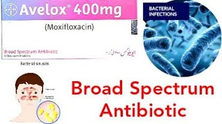 Avelox 400mg Tablet uses [upl. by Enelehs]