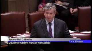 Senator Breslin comments on the nomination of Edwina G RichardsonMendelson [upl. by Hiltner]