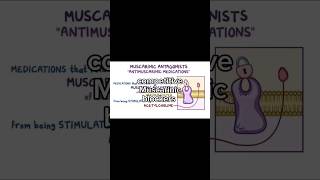 Atropine  Muscarinic competitive receptor antagonist  ANS pharmacology [upl. by Huntington]