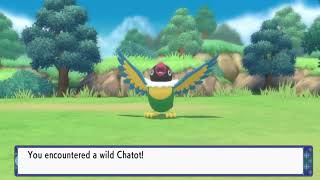 Where to catch Chatot  Pokemon Brilliant Diamond amp Shining Pearl Remake [upl. by Carolann]