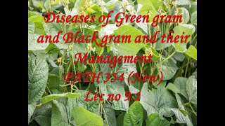 Diseases of Green gram and Black gram and their Management PATH 354 New Lec no 91 [upl. by Marks]