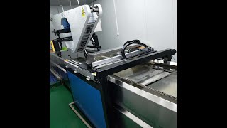 Fully Automatic hydro dipping equipment with continuous dipping transfer [upl. by Eltsirc572]