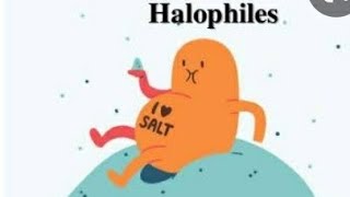 What is Halophiles Types of Halophiles  isolation techniques for cultivation of Halophiles [upl. by Pippas992]