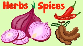 Herbs and Spices for Kids in English to Learn [upl. by Retnuh]