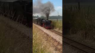 quotBlack Princequot along Dymchurch Straight on the RHDR short steamtrain railway narrowgauge shorts [upl. by Chucho107]