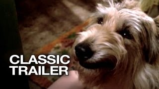 Top 10 Dog Movies [upl. by Ahsets]