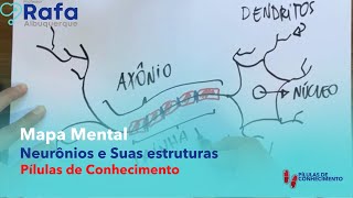 Neurônios e suas estruturas  Mapa Mental [upl. by Haek228]