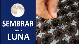 Sembrar con la Luna  Agricultura ecológica y ciclos lunares [upl. by Dorahs]