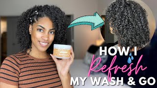 SKIPPING WASH DAY  HOW I REFRESH MY OLD WASH amp GO ft TreLuxe [upl. by Yarw736]