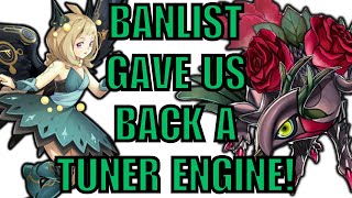 RUNICK ROSE DRAGON DECK PROFILE  COMBO POST SEPTEMBER 2024 BAN LIST yugioh [upl. by Naesyar]