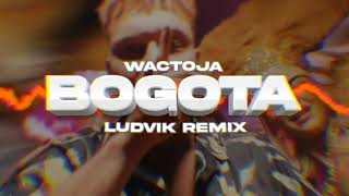 Wac Toja  BOGOTA Ludvik Remix [upl. by Husha]