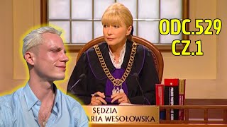 Sędzia Anna Maria Wesołowska Odc 529 cz 1 [upl. by Nonnah93]