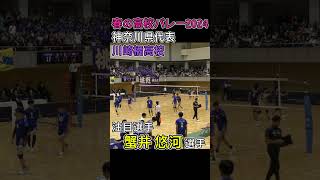 【春の高校バレー2024注目選手⑤】蟹井 悠河選手川崎橘高校 [upl. by Rikki687]