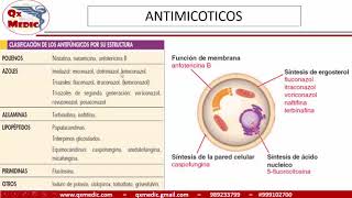 Qx farmacologia  ANTIMICOTICOS 1 [upl. by Nyledaj]