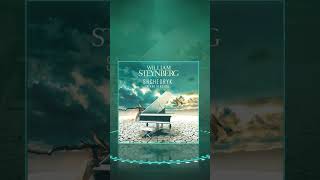 William Steynberg  Shchedryk Piano Version 🎹🙂 [upl. by Furmark681]