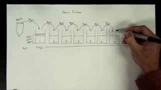 Concentrations Part 5  serial dilution [upl. by Drucill270]