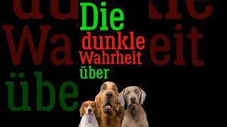 Die dunkle Wahrheit über Hunde [upl. by Alexa245]