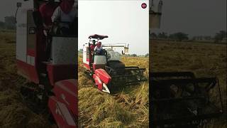 Yanmar AW70GV harvester paddy cuttingmachine farming farmmachinery shortvideo [upl. by Winter]