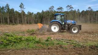 TMC Cancela TFZ in Eucalyptus stumps [upl. by Sillig361]