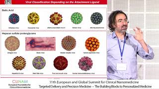 Nanoparticles as Antivirals [upl. by Eecal]