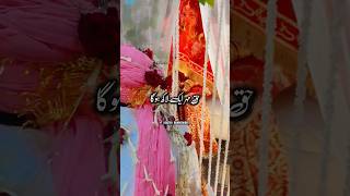 Nikah Ma Haq Mehar 8 Lac Aur 5 tole Sunna  islamic video wedding shorts [upl. by Anitrebla55]