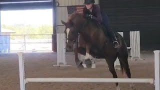 Tcu equestrian camp  Van [upl. by Yvette]