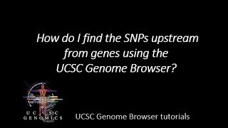 How do I find the SNPs upstream from genes using the UCSC Genome Browser [upl. by Darian]