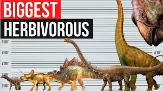 Biggest Herbivorous Dinosaurs  Size Comparison [upl. by Miun428]