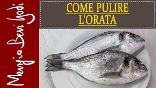 Come pulire lorata [upl. by Ijar]