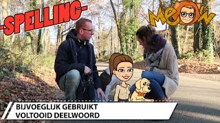 7 Spelling bijvoeglijk gebruikt voltooid deelwoord [upl. by Towne258]