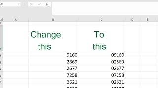 How to fix leading zeros in zip codes in Excel in 10 seconds [upl. by Nylimaj]