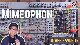 Staff Favorite Make Noise Mimeophon [upl. by Marcoux]