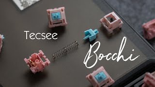 Tecsee Bocchi Switch A Zaku recolor thats 29 cents a switch [upl. by Becca]