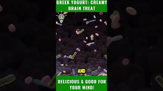 🥄 Greek Yogurt The Creamy Brain Treat You Need 🧠✨ BrainFuel [upl. by Esadnac488]