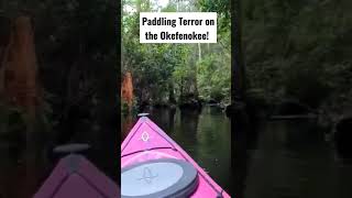 Paddling TERROR on the OKEFENOKEE shorts [upl. by Maillij]