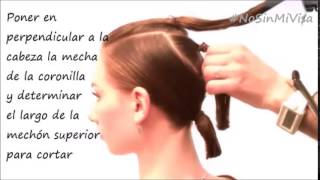 Tutorial  Corte Bob facilísimo para hacerse en casa [upl. by Garey568]